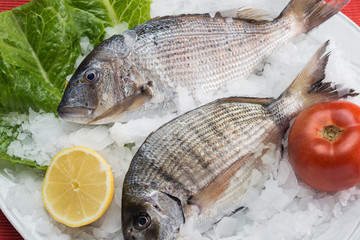 greek food greek restaurant greek lifestyle seafood