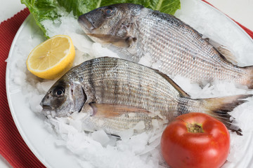 greek food greek restaurant greek lifestyle seafood