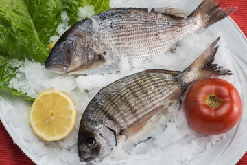 greek food greek restaurant greek lifestyle seafood