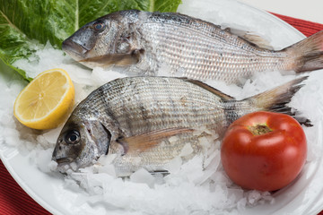 greek food greek restaurant greek lifestyle seafood