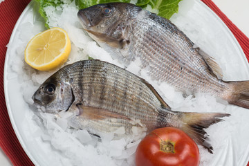 greek food greek restaurant greek lifestyle seafood