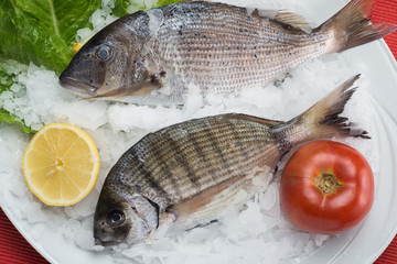 greek food greek restaurant greek lifestyle seafood