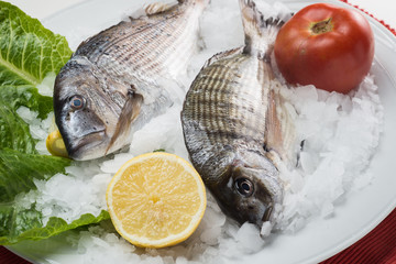greek food greek restaurant greek lifestyle seafood