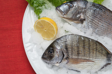 greek food greek restaurant greek lifestyle seafood