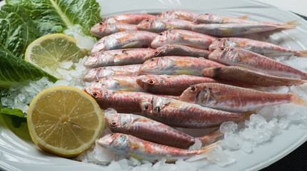 greek food greek restaurant greek lifestyle seafood