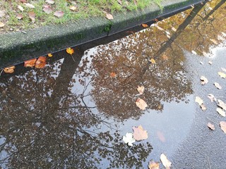 Strada con pozzanghera e riflesso alberi, STREET with water and autumn leaves