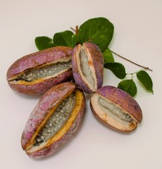 熟したアケビの実、室内、白背景