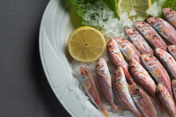 greek food greek restaurant greek lifestyle seafood