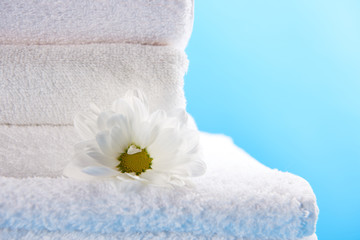 Obraz na płótnie Canvas close-up view of beautiful chamomile flower on pile of clean white towels isolated on blue