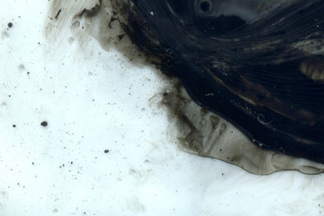 Abstract ink background. Marble style. Black paint stroke texture on white paper. Wallpaper for web and game design. Grunge mud art. Macro image of pen juice. Dark Smear.