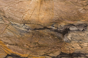 Unique new background for your elegant design.