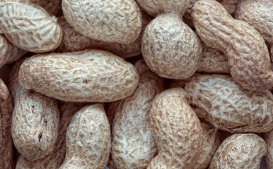roasted peanuts in their shells