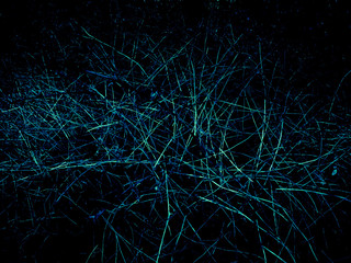 background abstraction of dry branches on a black background a bright color