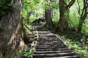 羽黒山の石段 ／山形県鶴岡市の羽黒山は標高414mで、山岳信仰の中心地として有名です。参道は瑞心門から国宝の五重塔を通り、上ること2446段と、石段の数で神社では日本一です。出羽三山神社までは車での参拝も出来ますが、パワースポットの御利益は、徒歩の方が上と言わています。
