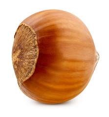 Hazelnut isolated Clipping Path