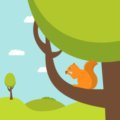 Obraz na płótnie Canvas The character the cartoon a squirrel sits on a branch of a tree of an oak and holds nut in pads. Natural landscape. A design concept for the website. In flat style a vector.Forest animal.