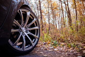 Fototapeta na wymiar car in the autumn forest on the road
