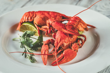 Dish of boiled crayfish with sauce