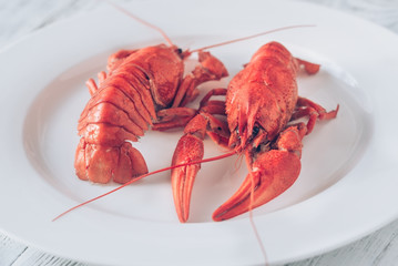 Dish of boiled crayfish with sauce