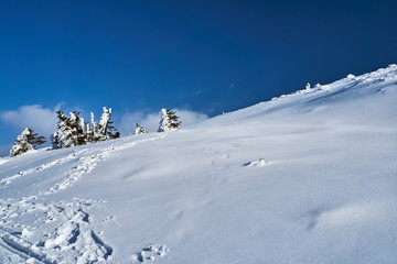 Fototapeta na wymiar Snow-covered tourist trail in the Giant Mountains in Poland..