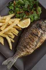 greek food greek restaurant greek lifestyle meat and seafood