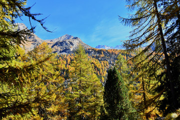 Obraz premium Il Gran Paradiso in autunno