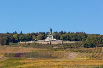 Germania im Herbst - R&uuml;desheim - fern