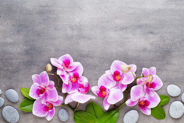 Beauty orchid on a gray background. Spa scene.