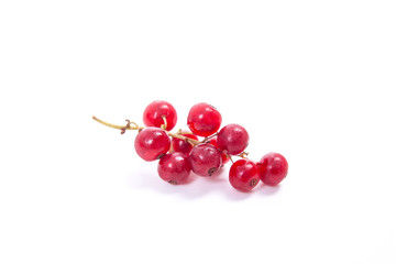 Red currant berry isolated on white. A bunch of red currant..