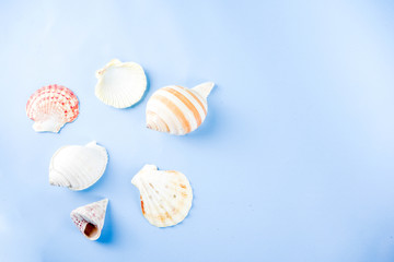 Summer seashells background