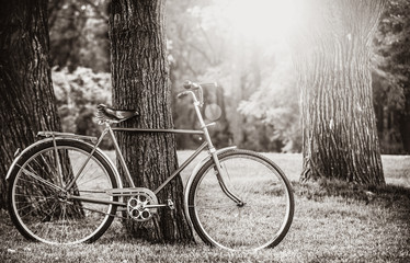 Vintage bicycle waiting near tree on lawn. Image in black and white color