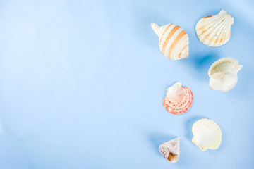 Summer seashells background
