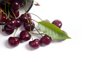 Red sweet cherry in white cup with green leaf isolate on white.