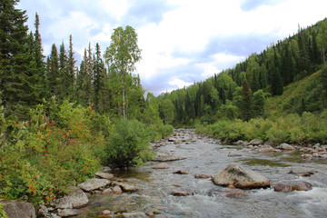 Fototapeta na wymiar Landscape with mountain river in summer