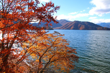 英国大使館別荘記念公園（栃木県・日光市）