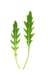 Green arugula leaf isolated on white