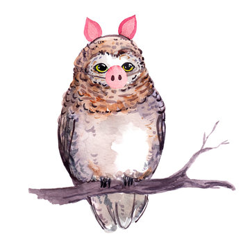 Cute owl bird in piggy costume with pig nose. Unusual funny illustration fo New year design. Watercolor