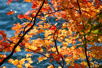 英国大使館別荘記念公園（栃木県・日光市）
