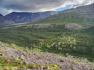 mountains in the summer. Hibiny