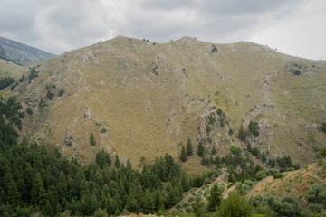 Hania, Crete - 09 26 2018: Mountain landscape Therisso. Panoramic view of fir trees on the hill and some trees on the crete
