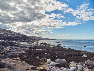 coast of the Barents Sea. Teriberka. Russia
