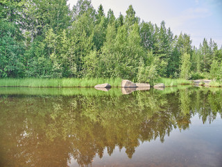 Fototapeta na wymiar reflection in the river. forest
