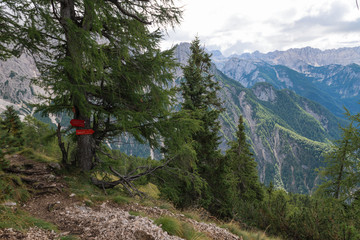 Fototapeta na wymiar Red signpost on hikers trail, Julian Alps, Slovenia