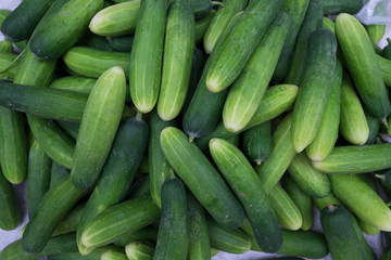 Pile of cucumber in fresh market. Background and texture of cucumber.