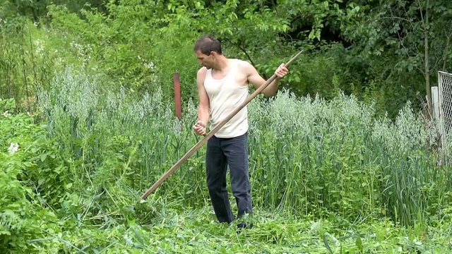 Young man farmer in garden cutting weeds, oat grass tall with sickle scythe manual tool in green summer in Ukraine
