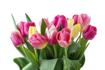 Fototapeta premium Mix of tulips flowers