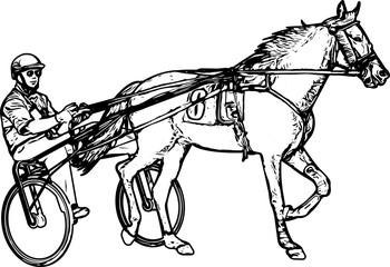 Trotter in harness drawing - vector