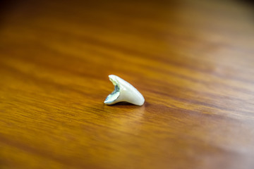 Tooth, metal ceramic crown on the table. Denture made of metal ceramics.