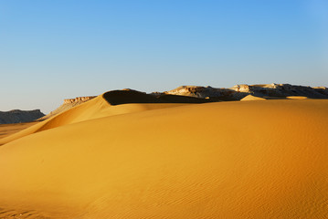 Sahara Desert scenery. Egypt