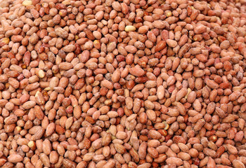 Roasted Salty peanuts